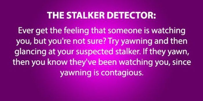 How To Be A Manipulator (15 pics)