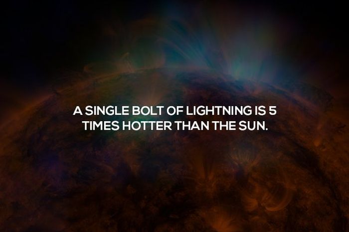 Science Facts (23 pics)