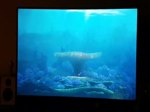 The End Of 'Finding Dory' On Swedens Netflix Is By Far The Greatest Movie Moment In Cinema History