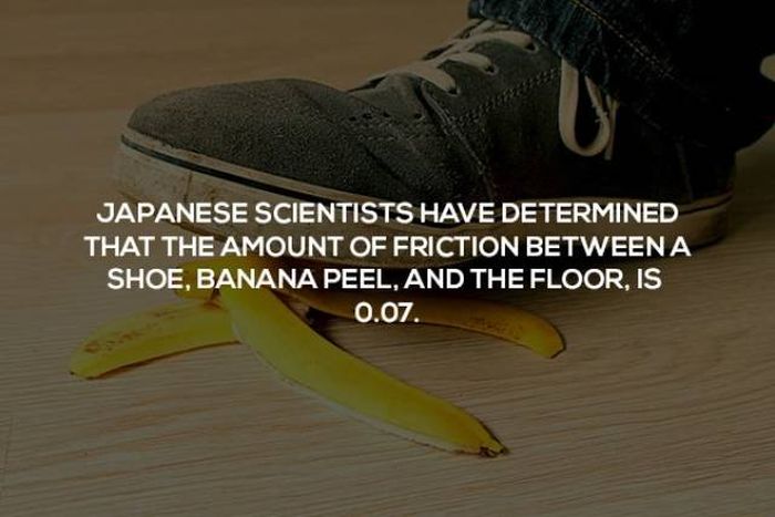 Interesting Science Facts (23 pics)