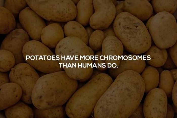 Interesting Science Facts (23 pics)