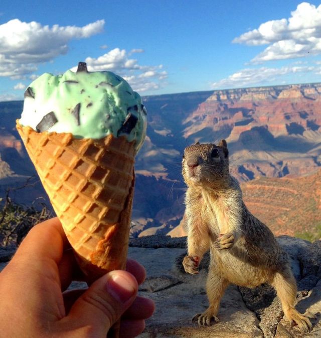 Acid Picdump (91 pics)