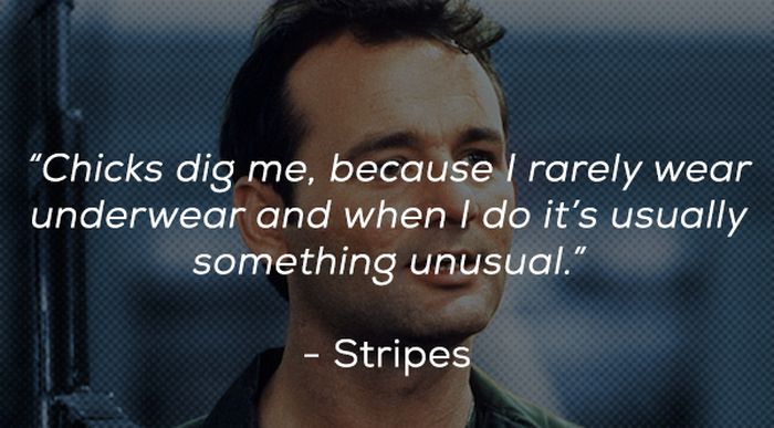 Words Of Wisdom From Bill Murray’s Best Movie Characters (21 pics)