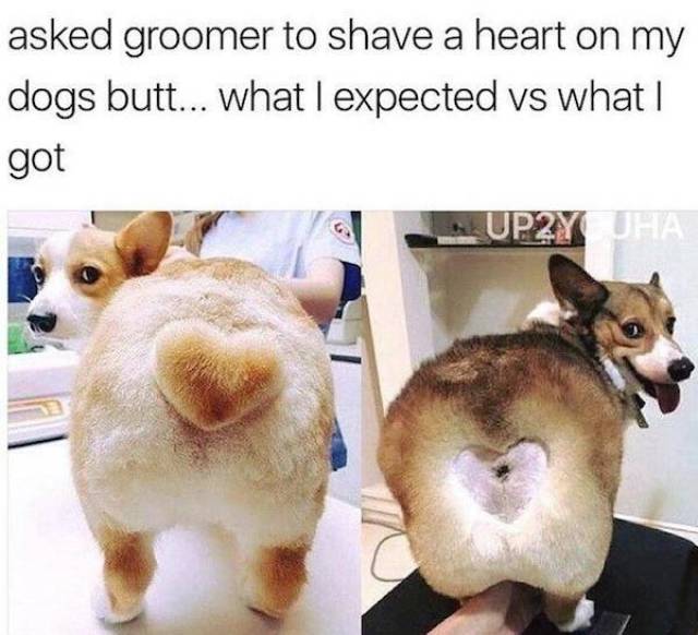 Expectations Vs Reality (34 pics)
