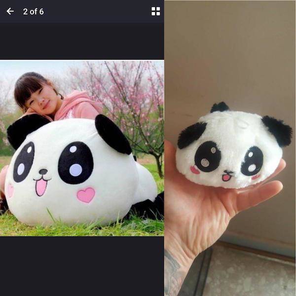 Expectations Vs Reality (34 pics)