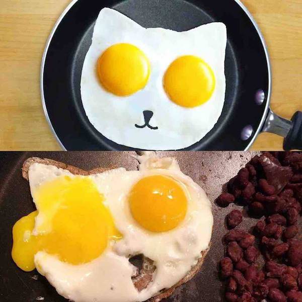Expectations Vs Reality (34 pics)