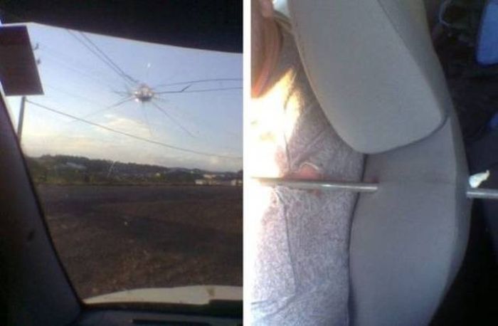 These People Are Lucky (46 pics)
