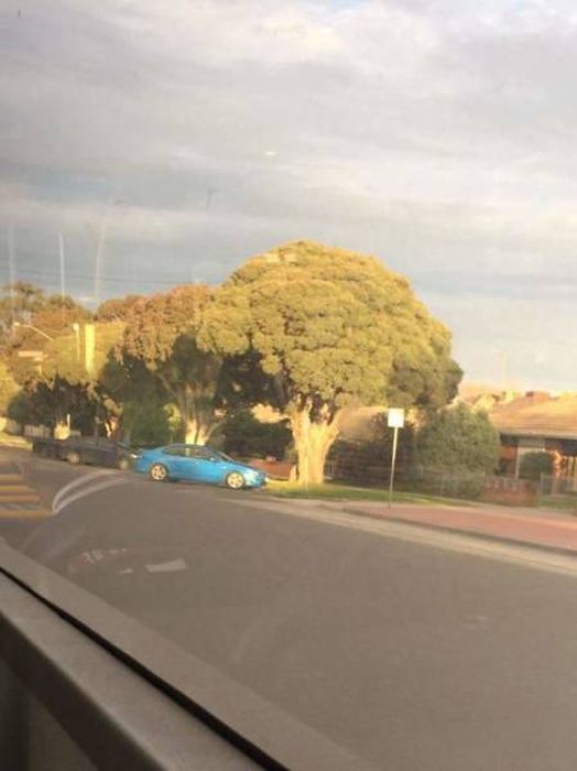 Accidental Optical Illusions (43 pics)