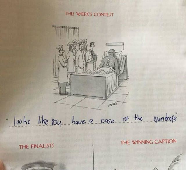That Family Surely Has Some Incredible Talent In Writing Cartoon Captions (15 pics)