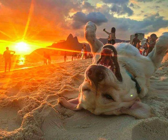 When A Picture Says More Than Just A Thousand Words (51 pics)