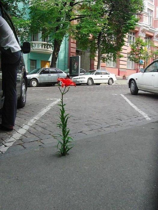 When A Picture Says More Than Just A Thousand Words (51 pics)