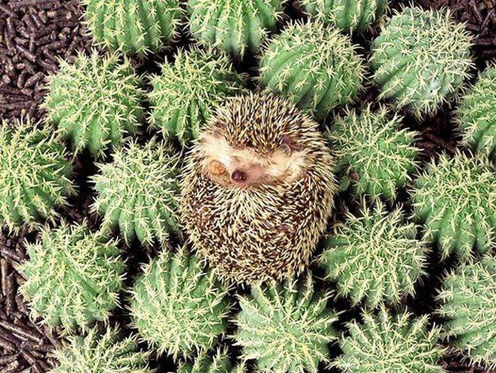 When A Picture Says More Than Just A Thousand Words (51 pics)
