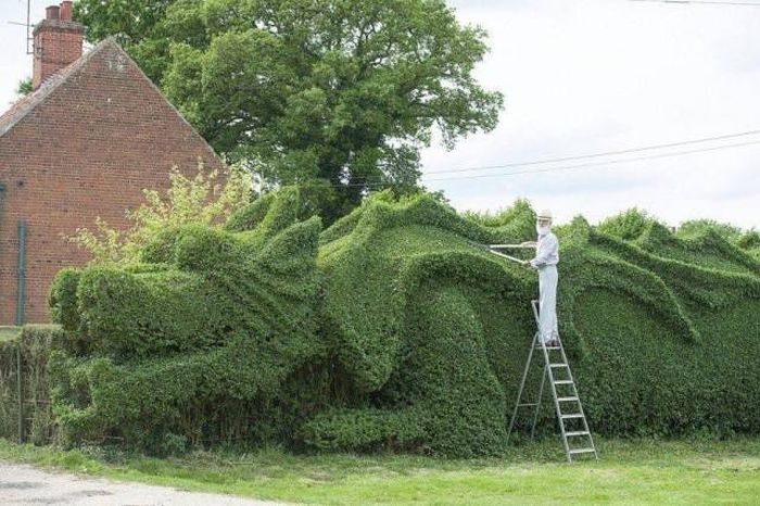 When A Picture Says More Than Just A Thousand Words (51 pics)