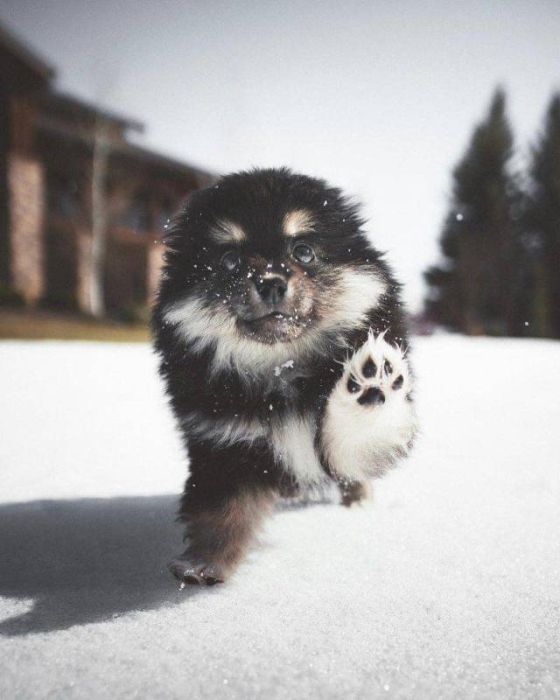 When A Picture Says More Than Just A Thousand Words (51 pics)