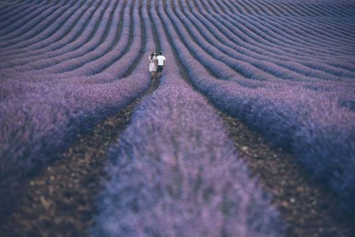 When A Picture Says More Than Just A Thousand Words (51 pics)