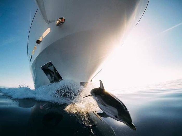 When A Picture Says More Than Just A Thousand Words (51 pics)