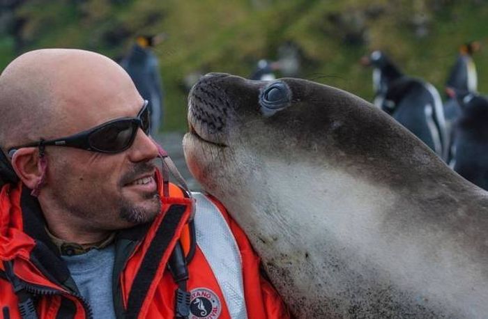When A Picture Says More Than Just A Thousand Words (51 pics)