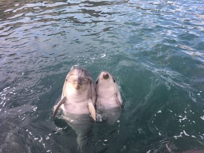 When A Picture Says More Than Just A Thousand Words (51 pics)