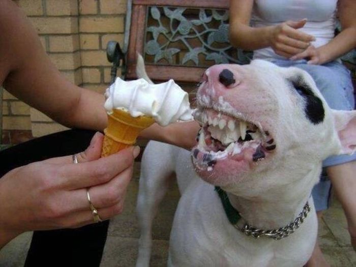 When A Picture Says More Than Just A Thousand Words (51 pics)