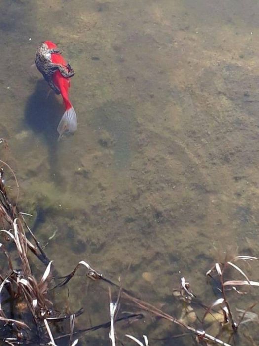 When A Picture Says More Than Just A Thousand Words (51 pics)