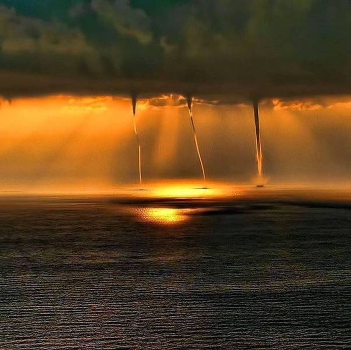 When A Picture Says More Than Just A Thousand Words (51 pics)