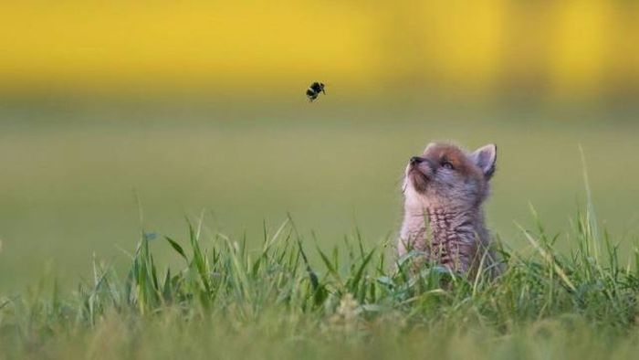 When A Picture Says More Than Just A Thousand Words (51 pics)