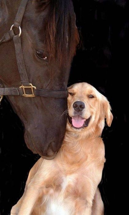 When A Picture Says More Than Just A Thousand Words (51 pics)
