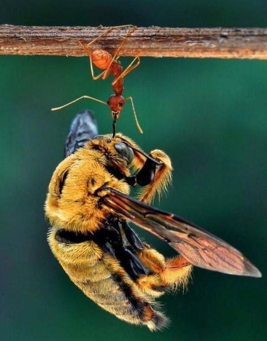 When A Picture Says More Than Just A Thousand Words (51 pics)