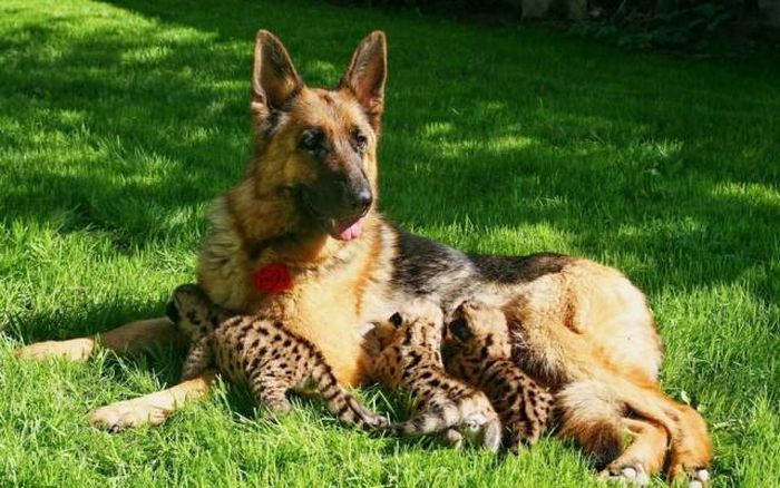 When A Picture Says More Than Just A Thousand Words (51 pics)