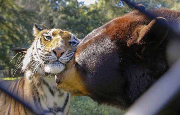 When A Picture Says More Than Just A Thousand Words (51 pics)