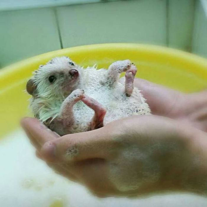 When A Picture Says More Than Just A Thousand Words (51 pics)