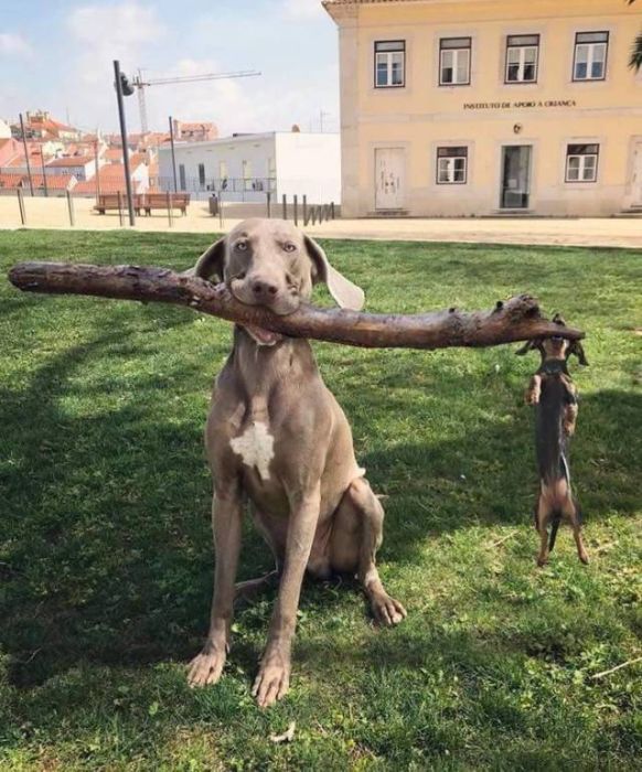 When A Picture Says More Than Just A Thousand Words (51 pics)