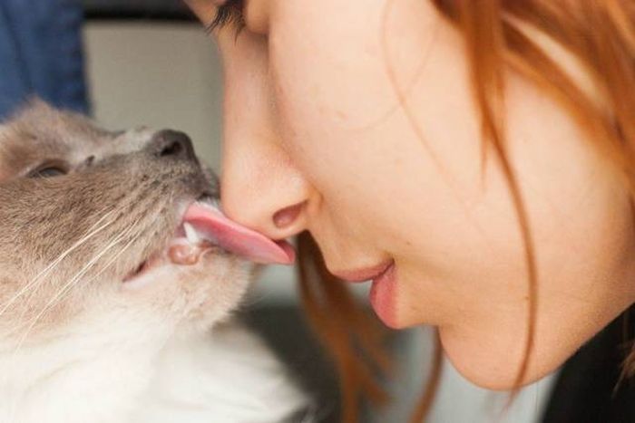 When A Picture Says More Than Just A Thousand Words (51 pics)