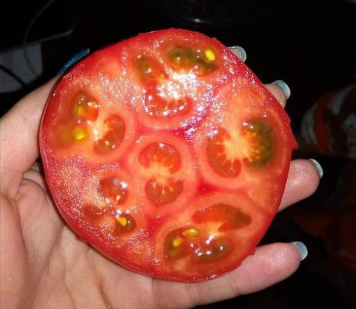 When A Picture Says More Than Just A Thousand Words (51 pics)