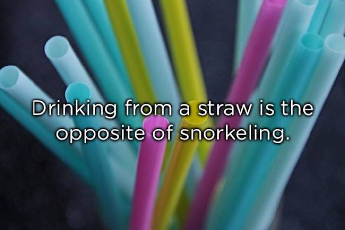 Shower Thoughts (20 pics)