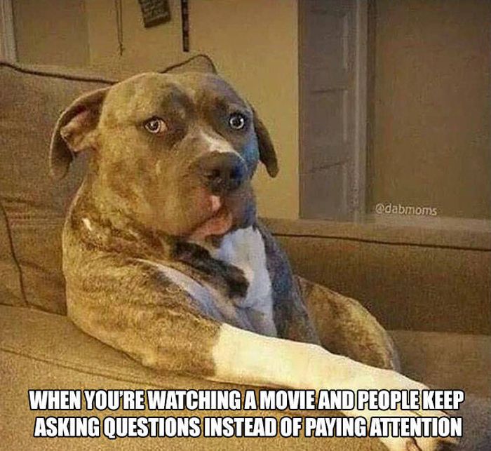 So True (41 pics)