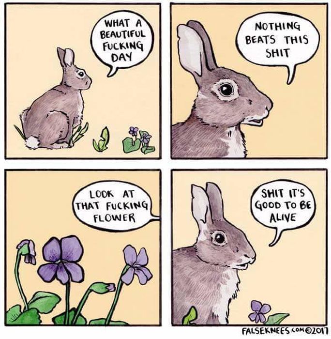 So True (41 pics)