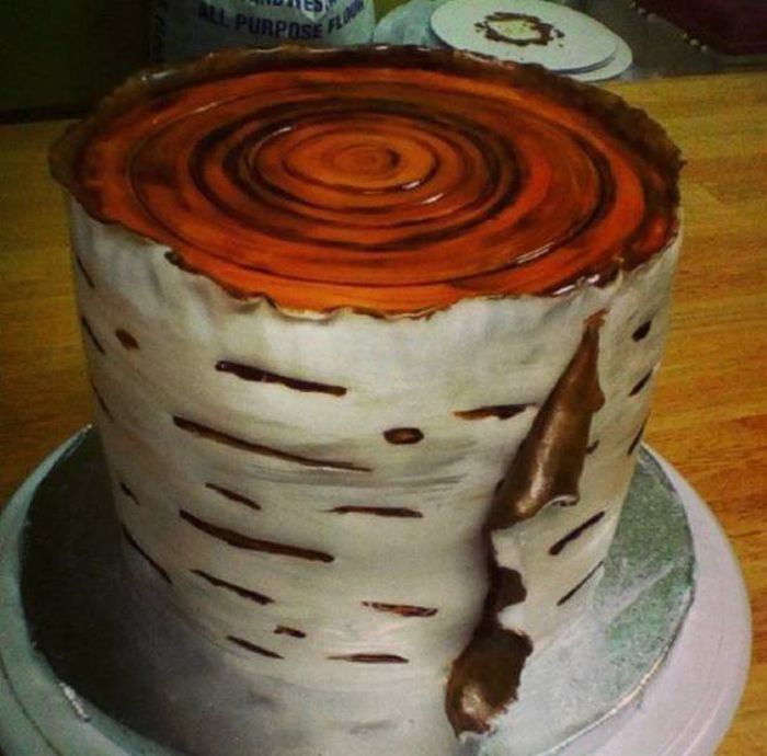 Amazing Cakes (31 pics)