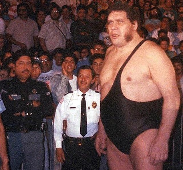 Hulk Hogan Shares Story About Andre The Giant And His Massive Farts (4 pics)