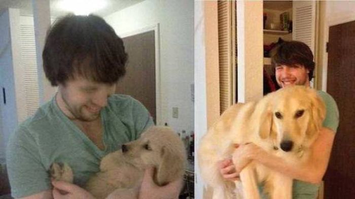 Adorable Dogs Then And Now (28 pics)