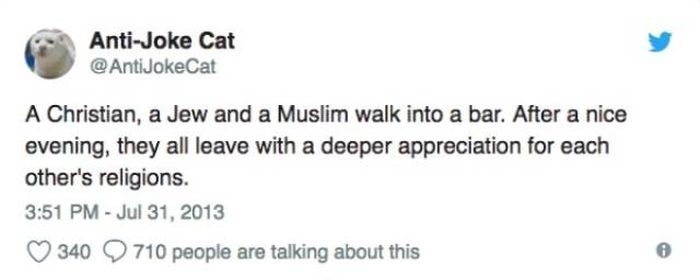 Dark Jokes By Anti-joke Cat (34 pics)