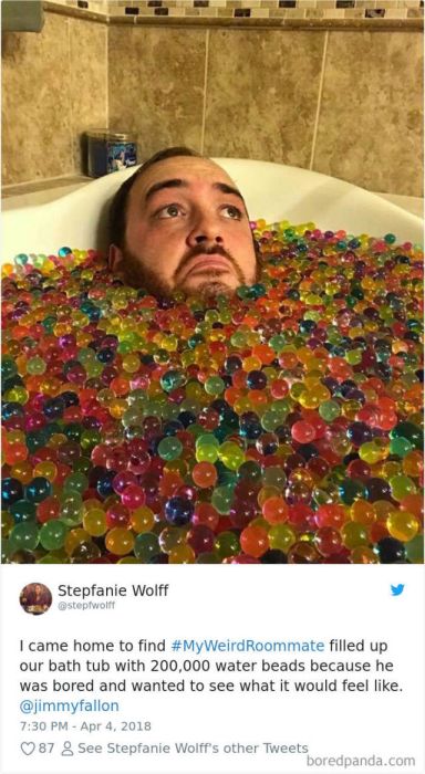 #MyWeirdestRoommate (40 pics)