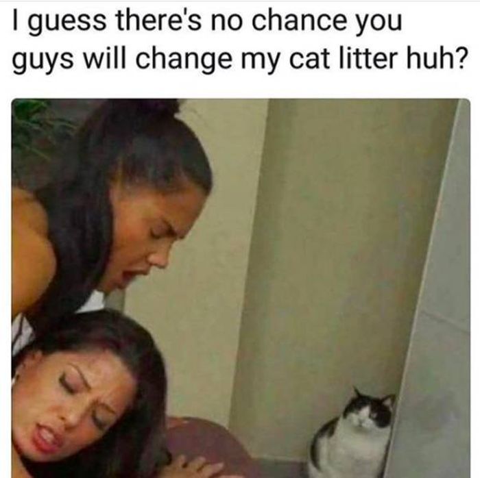 Sudden Jokes (39 pics)