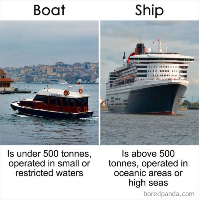 The Differences Between Similar Things (39 pics)