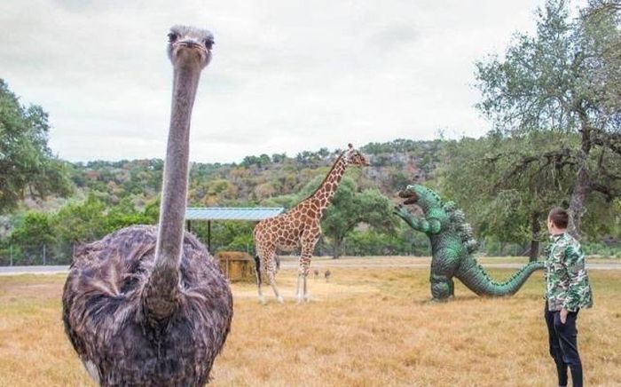 Acid Picdump (97 pics)