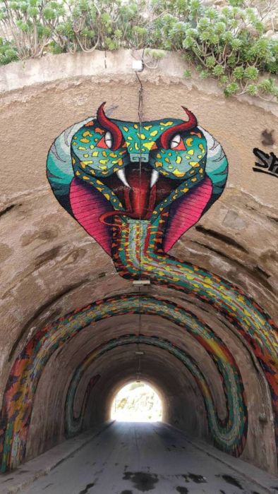 Acid Picdump (97 pics)