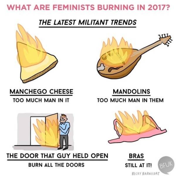 Feminist Memes (25 pics)