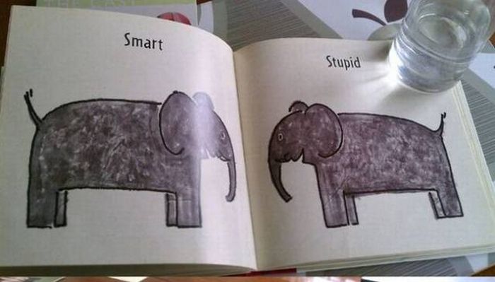 WTF Moments From Kids' Books (18 pics)