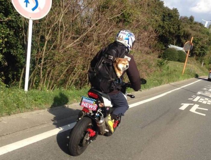 Acid Picdump (90 pics)