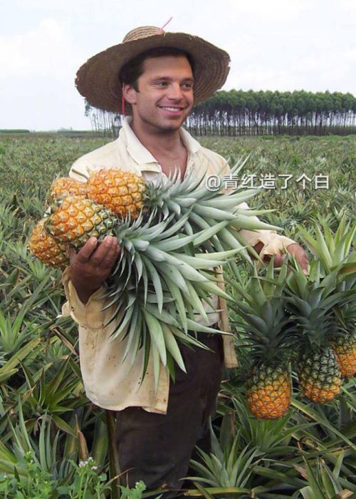 Celebrities As Chinese Farmers (15 pics)